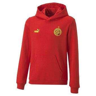 Puma Ftblcore fan hoodie youth offer