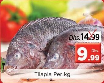 Nesto Tilapia per kg offer