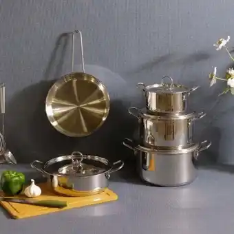 Danube Home Celina 9 pc encapsulated bottom cookware set offer