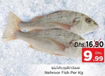 Nesto Nehroor Fish per kg offer