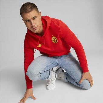 Puma Ftblcore fan hoodie men offer