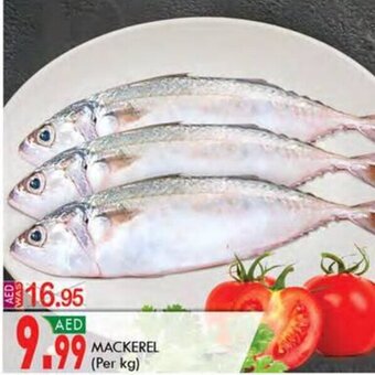 KM Trading Mackerel (per kg) offer