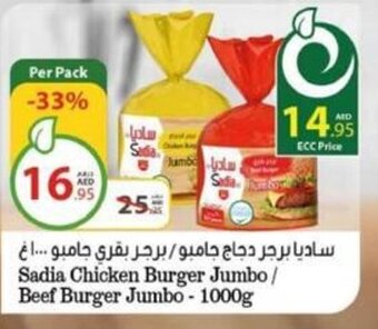 Earth Supermarket Sadia Chicken Burger Jumbo/Beef Burger Jumbo-1000g offer
