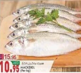 KM Trading Mackerel (per kg) offer