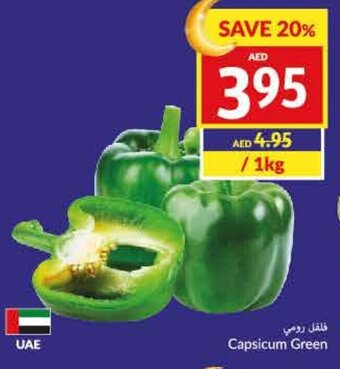 Viva Capsicum Green offer
