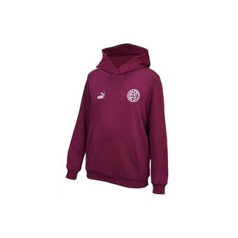 Puma Ftblcore qatar fan hoodie youth offer