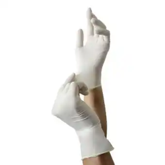Lulu Hypermarket Pureglove latex hand gloves large 100pcs offer