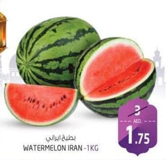 Safari Hypermarket Watermelon Iran - 1kg offer
