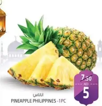 Safari Hypermarket Pineapple Philippines - 1pc offer