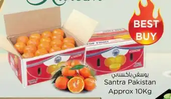 Nesto Santra Pakistan Approx 10kg offer