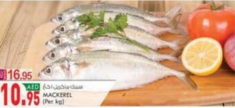 KM Trading Mackerel (per kg) offer