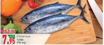 KM Trading Tuna (per kg) offer