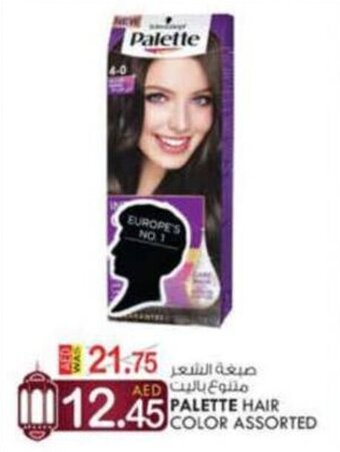KM Trading Palette Hair Color Assorted offer