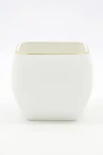 Brands For Less Bubbly bar one bowl in a gift box, white offer