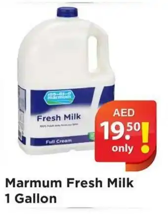 Al Madina Hypermarket Marmum Fresh Milk 1 Gallon offer