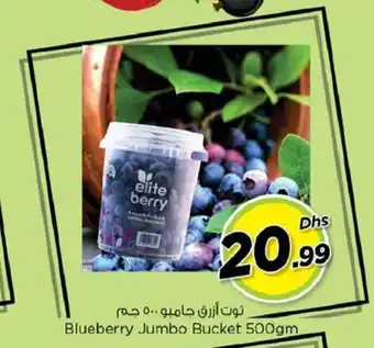Nesto Blueberry Jumbo Bucket 500gm offer