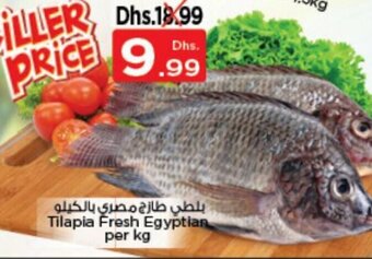 Nesto Tilapia Fresh Egyptian per kg offer