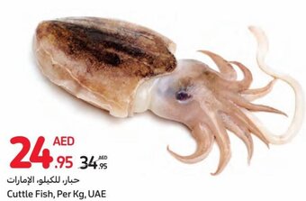 Carrefour Cuttle Fish, Per Kg, UAE offer