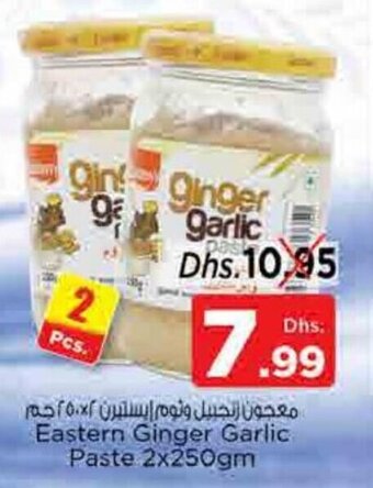 Nesto Eastern Ginger Garlic Paste 2x250gm offer