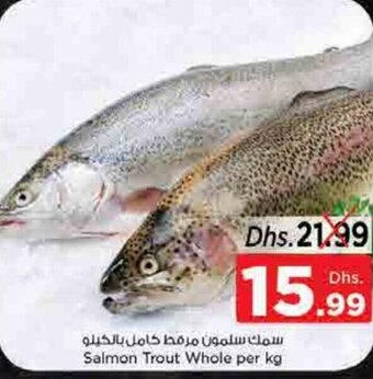 Nesto Salmon Trout Whole per kg offer
