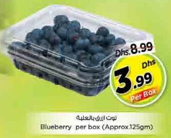 Nesto Blueberry per box (Approx.125gm) offer