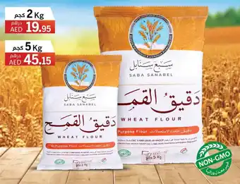 WHEAT FLOUR SABA SANABEL 2 Kg