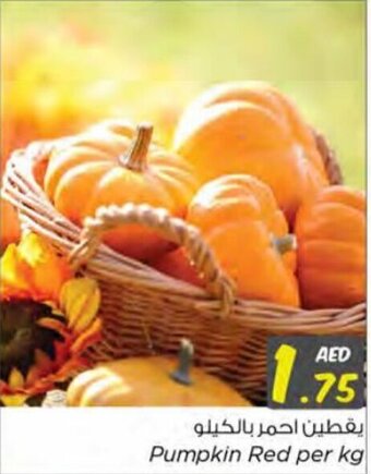 Nesto Pumpkin Red per kg offer