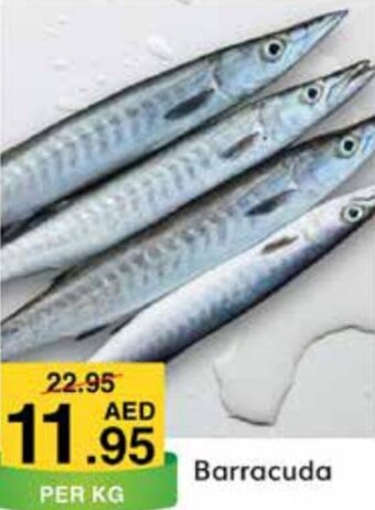 West Zone Supermarket Barracuda offer