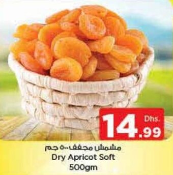 Nesto Dry Apricot Soft 500gm offer