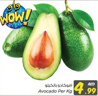 Nesto Avocado Per Kg offer