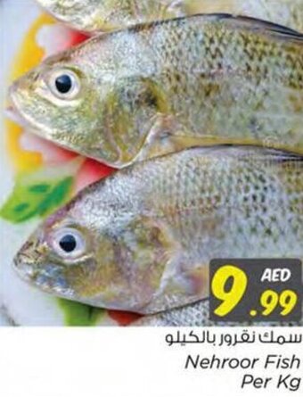Nesto Nehroor Fish Per Kg offer