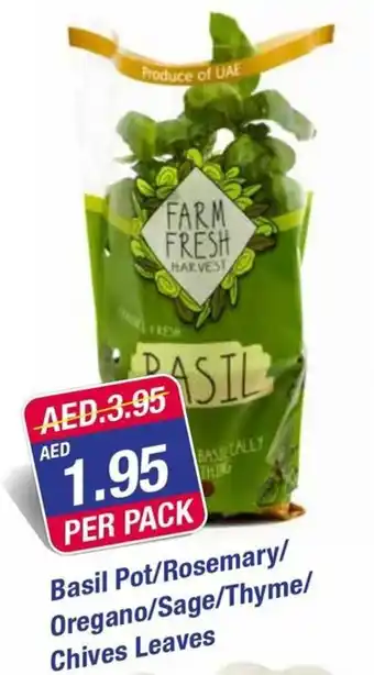 West Zone Supermarket Basil Pot/Rosemary/ Oregano/Sage/Thyme/ Chives Leaves offer