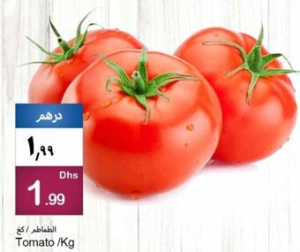 Rawabi Market Tomato /Kg offer