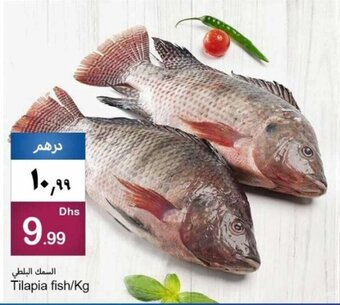 Rawabi Market Tilapia fish/Kg offer