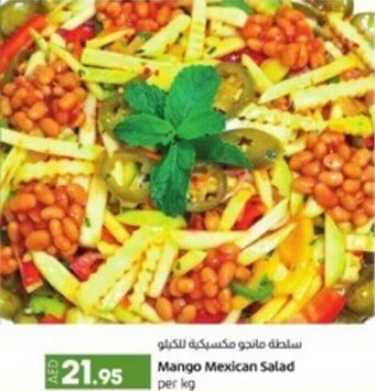 Mango Mexican Salad