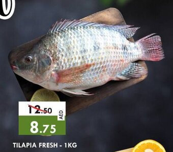 Safari Hypermarket Tilapia Fresh - 1kg offer