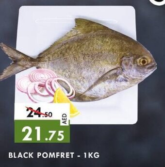 Safari Hypermarket BLACK POMFRET - 1KG offer