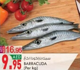 KM Trading BARRACUDA (Per kg) offer