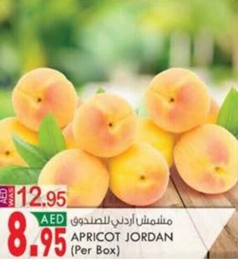 KM Trading APRICOT JORDAN (Per Box) offer