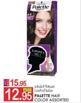 KM Trading PALETTE HAIR COLOR ASSORTED offer