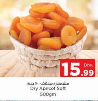 Nesto Dry Apricot Soft 500gm offer