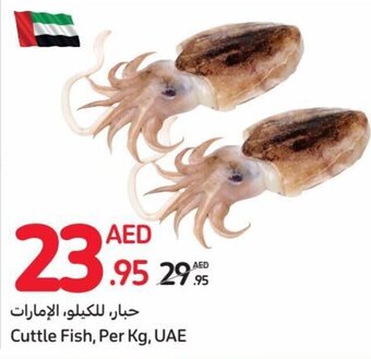 Carrefour Cuttle Fish, Per Kg, UAE offer
