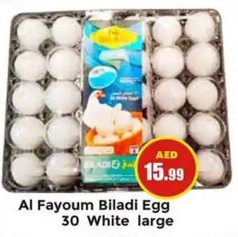 Pasons Al Fayoum Biladi Egg 30 White large offer