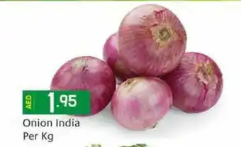Safeer Market Onion India Per Kg offer