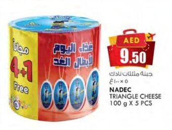 KM Trading NADEC TRIANGLE CHEESE 100 g X 5 PCS offer