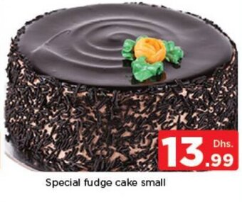 Nesto Special fudge cake small offer