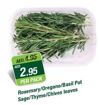 West Zone Supermarket Rosemary/Oregano/Basil Pot Sage/Thyme/Chives leaves offer