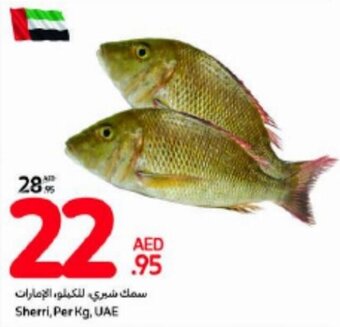 Carrefour Sherri, Per Kg, UAE offer