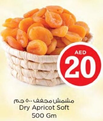 Nesto Dry Apricot Soft 500 Gm offer