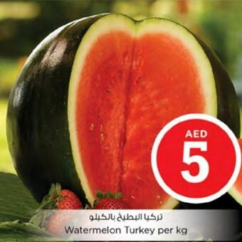 Nesto Watermelon Turkey per kg offer
